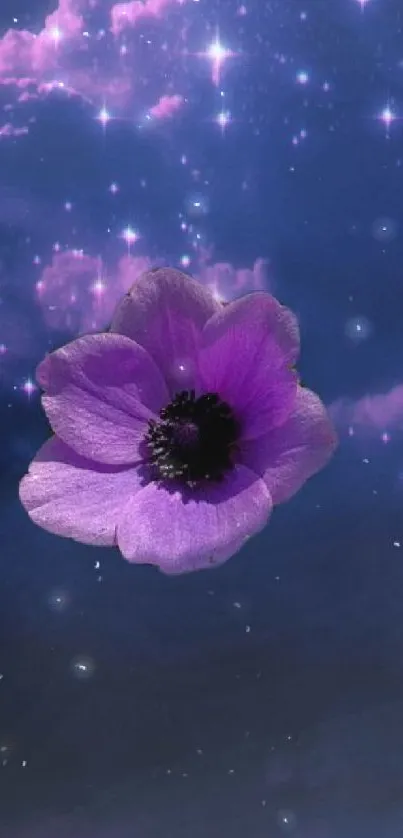 Purple flower with stars in night sky wallpaper.