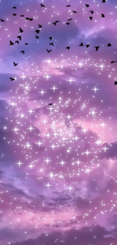 Dreamy purple sky with stars and birds flying high in the background.