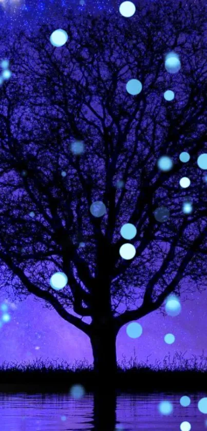 Silhouette of a tree with purple and blue bokeh lights.