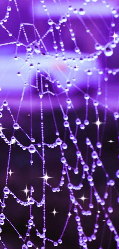 Purple spider web with dew drops on a dreamy background.