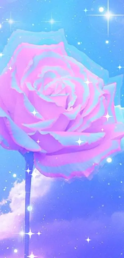 Pink rose with a starry, cosmic blue backdrop.