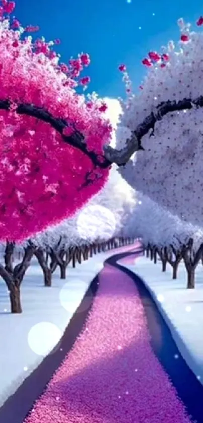 Enchanting pink sakura pathway in winter landscape.