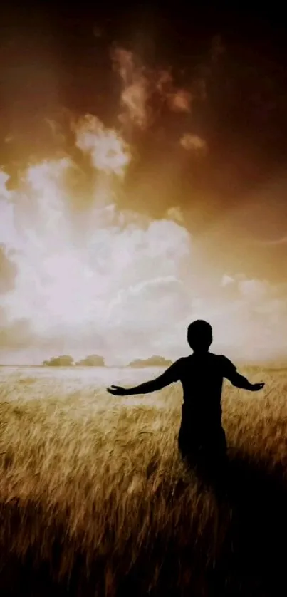 Silhouette in a golden sunset field, arms open wide with sunlit clouds overhead.