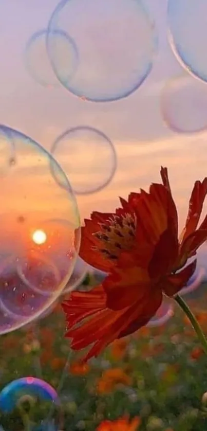 A vibrant sunset with flowers and bubbles.