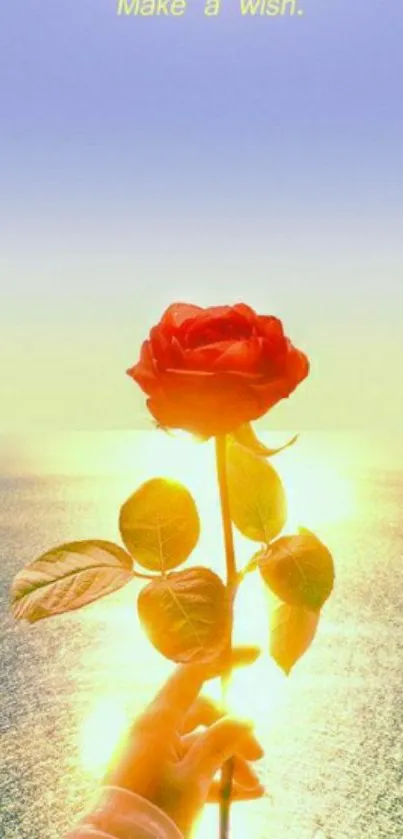 Red rose against sunset with ocean background.