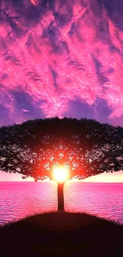 Silhouetted tree against a vibrant pink and purple sunset sky over water.