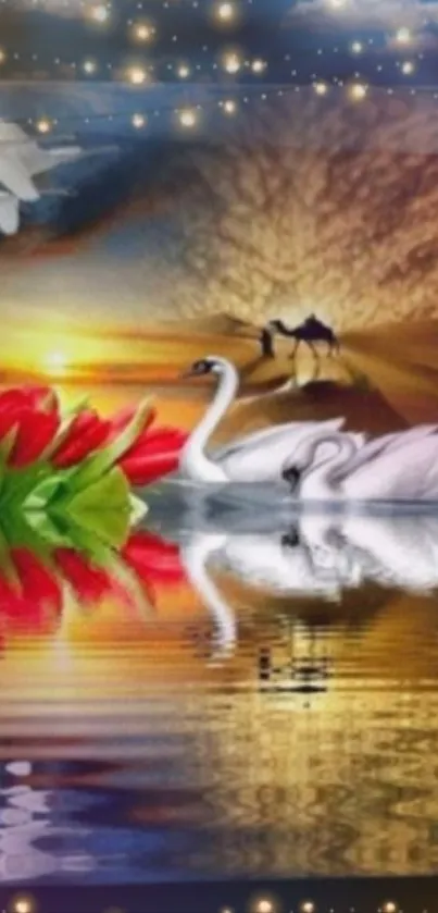 Swan pair in sunset with reflection and tulips.