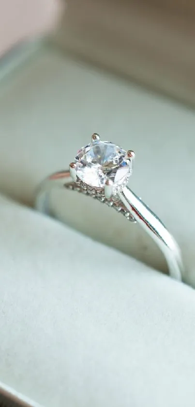 Marrige Live Wallpaper
