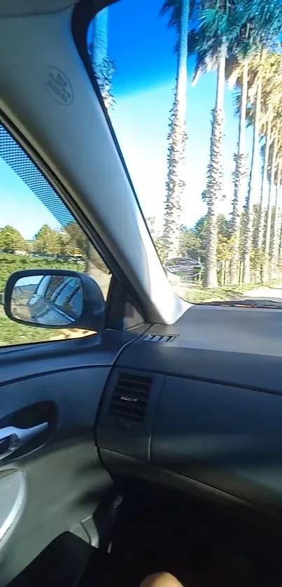 Car interior view with palm trees lining a sunny road under a clear blue sky.