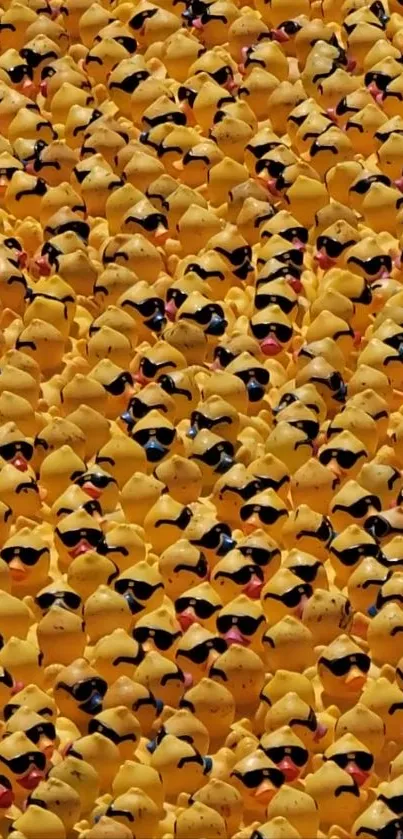 Mobile wallpaper with a pattern of yellow ducks wearing sunglasses.