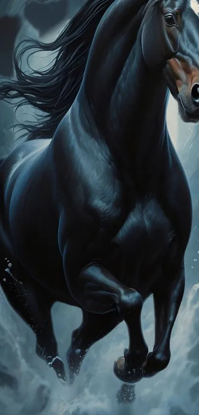 Dynamic black horse in motion with a dark blue background.