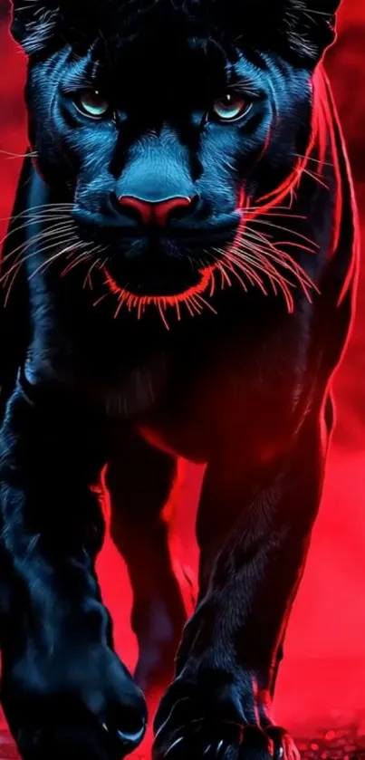 Black panther on vivid red backdrop, exuding wild power.