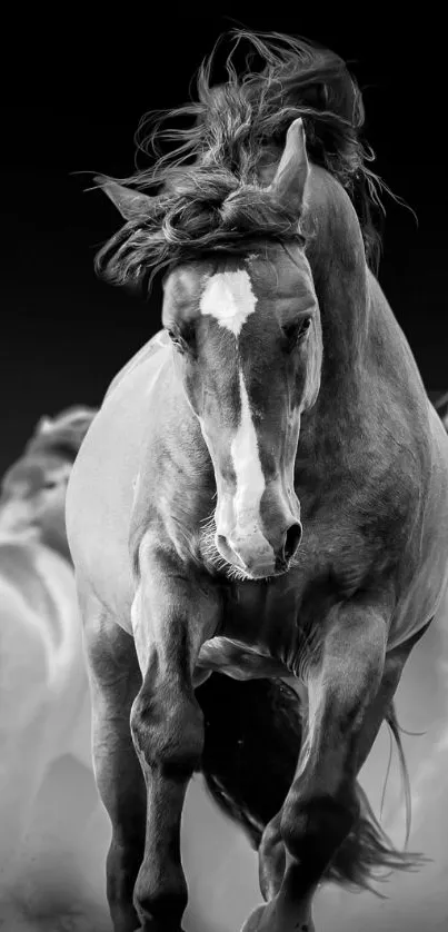 Black stallion running dynamically in a captivating monochrome setting.