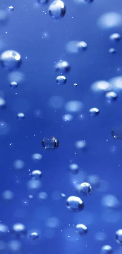 Blue bubble wallpaper with serene floating bubbles.