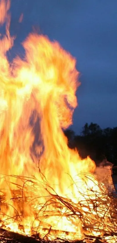 Vivid bonfire flames rise against a dark evening sky.