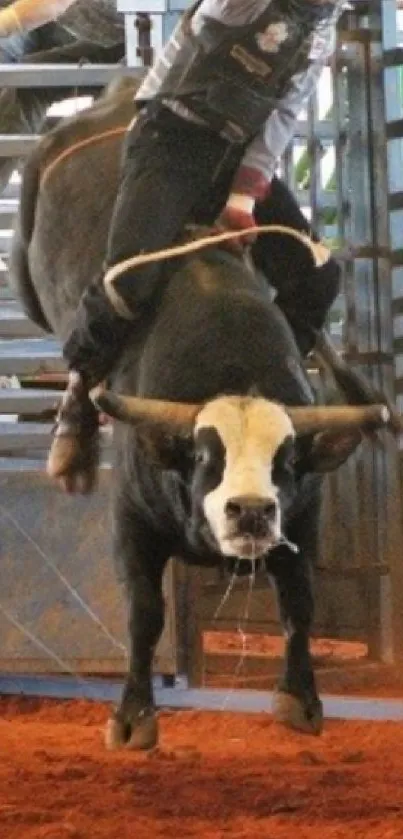 Rodeo scene featuring a bull rider in action in a vibrant arena setting.