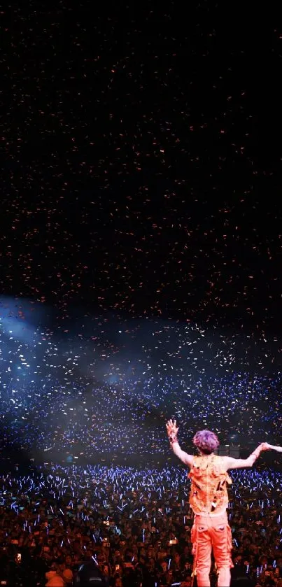 Silhouetted performer on stage with a vibrant concert crowd.