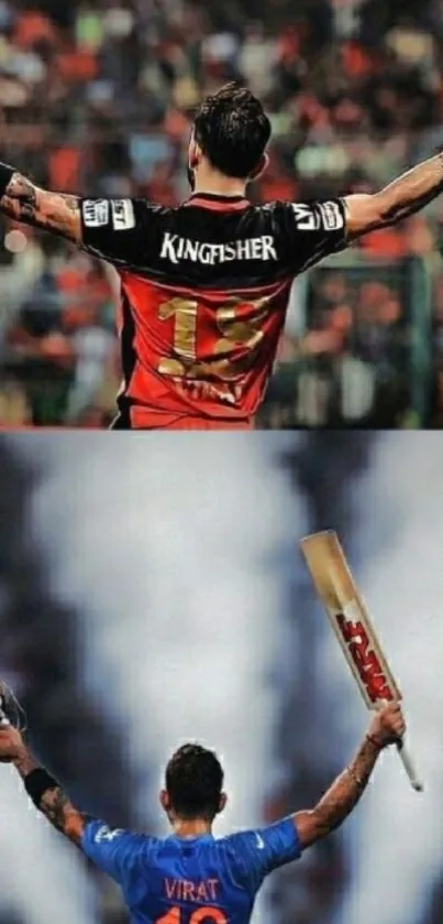 Dynamic cricket match celebration wallpaper.