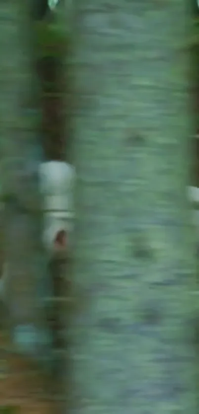 White dog runs through a green forest with blurred tree in foreground.