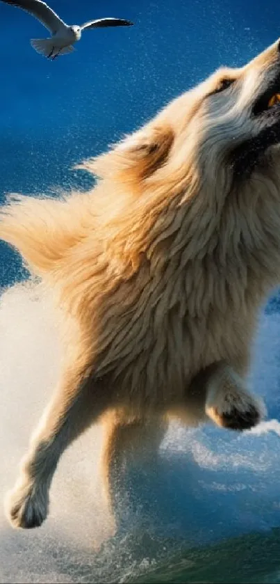 Dog leaping from ocean with a seagull flying above.