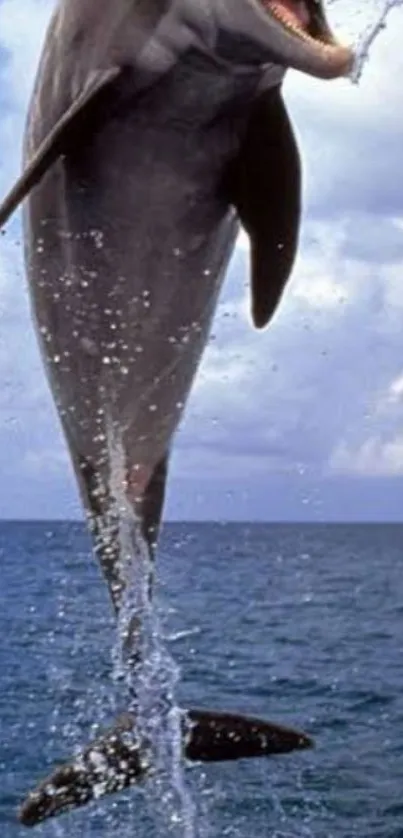 Dolphin leaping high above the ocean waves on a bright day.