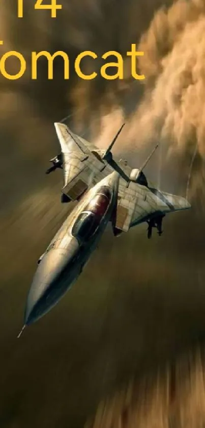 F14 Tomcat jet soaring through a dynamic sky backdrop.