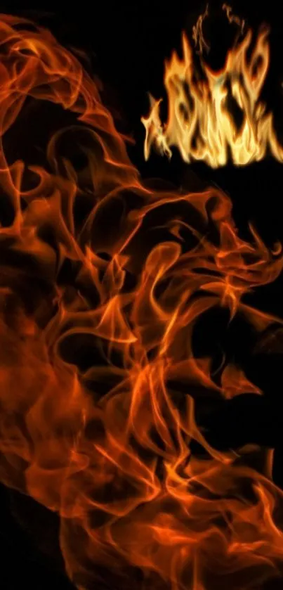 Vibrant orange flames on black background.