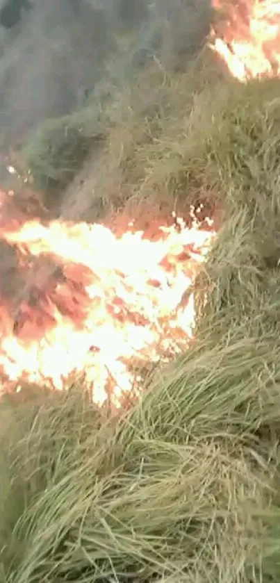 A dramatic landscape with fire engulfing dry grass.