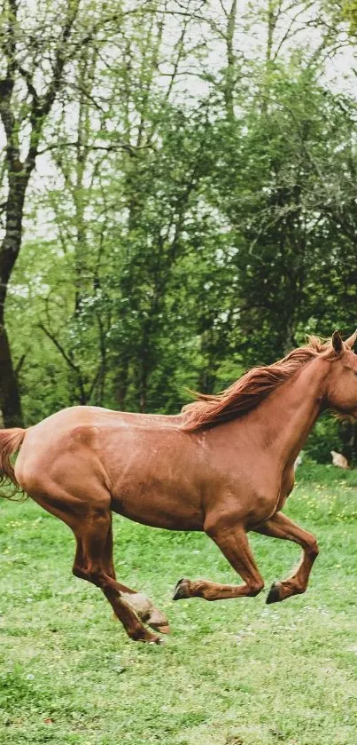 A horse running freely in a lush green field.