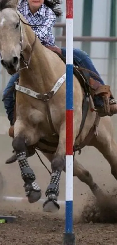 Horse racing through poles in dynamic action scene.