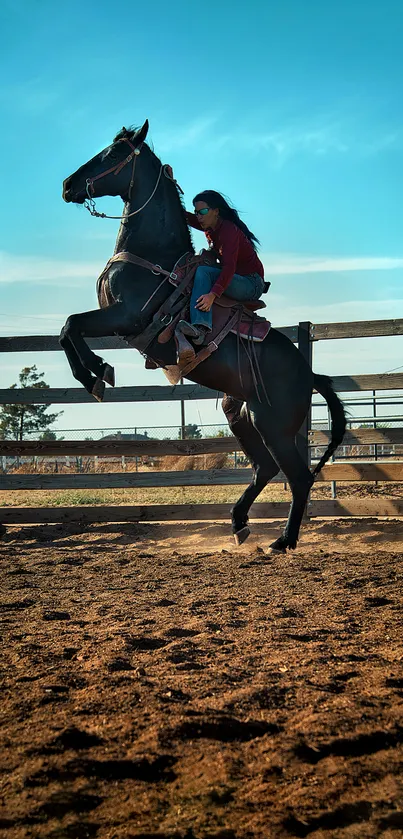 Horse rider in an action pose against blue sky, dynamic scenery.