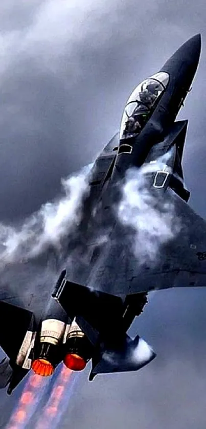 Jet fighter ascending with a dramatic sky backdrop.