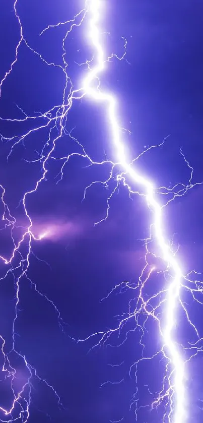 Vivid lightning bolt against a dark, cloudy sky background.