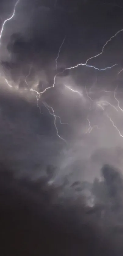 Dramatic lightning striking through dark clouds in a storm.