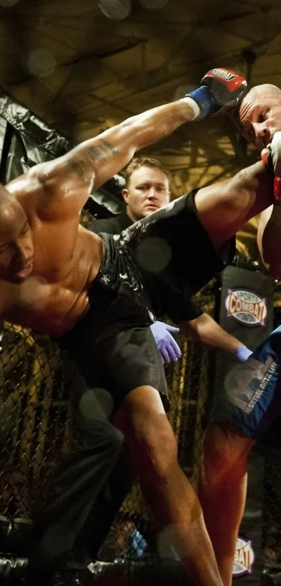 MMA fighters in action during an intense cage match.