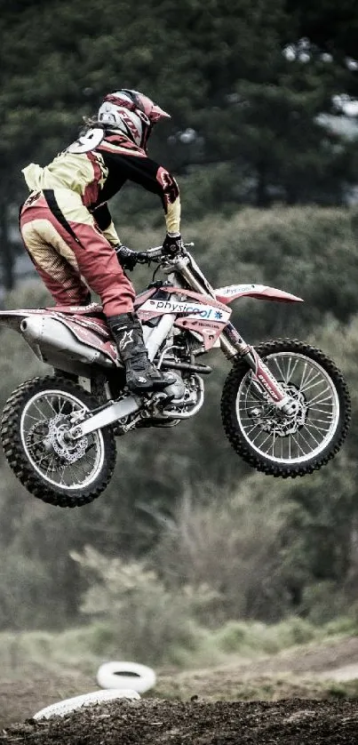 Motocross biker performing a jump in a forest setting wallpaper.