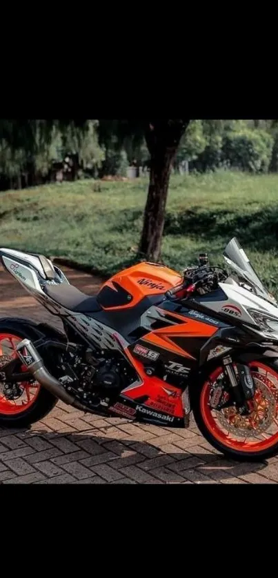 Dynamic motorcycle with vibrant orange accents against a natural backdrop.