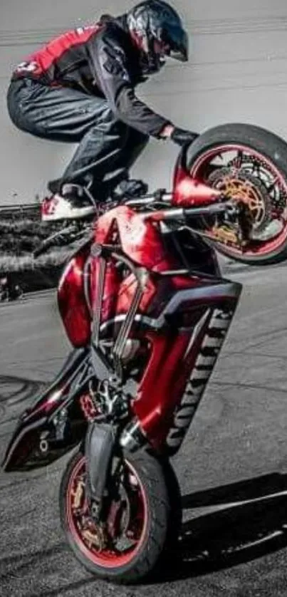 Stuntman performs a dramatic wheelie on a red motorcycle.