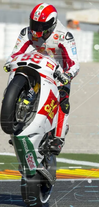 Motorcycle rider performing a wheelie on a race track.