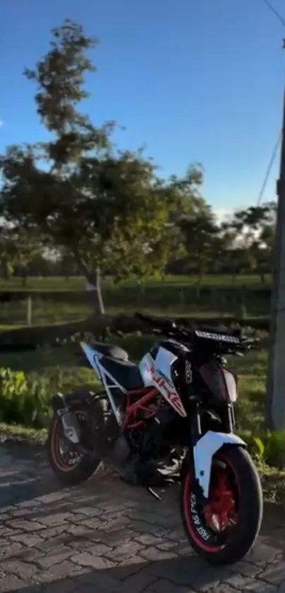 A sleek motorcycle on a scenic outdoor road, perfect for riders.