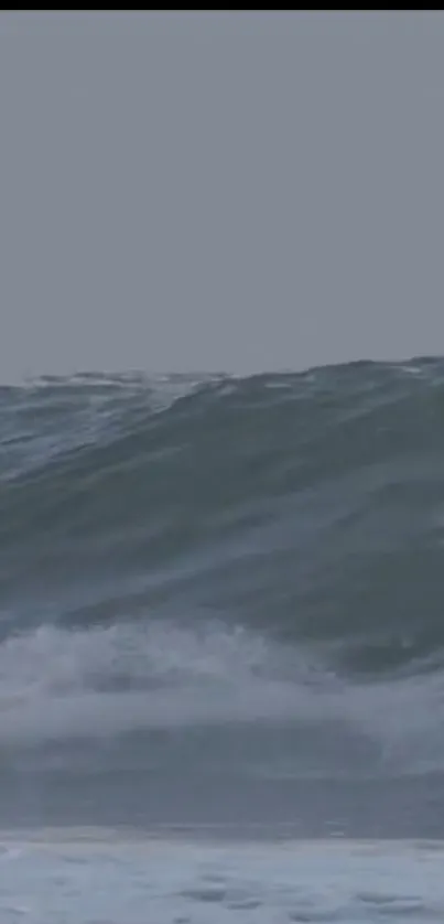 Dynamic ocean wave with deep blue water and white frothy crests.