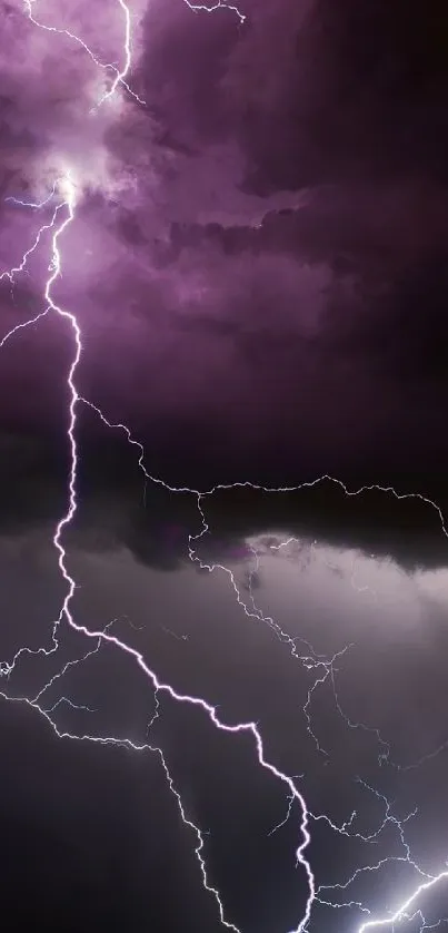 Purple lightning streaks across a dark stormy sky.