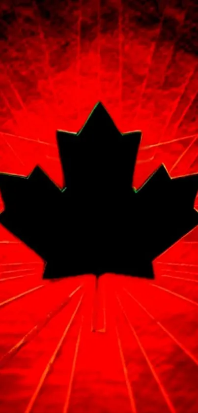 Black maple leaf on a dynamic red wallpaper.