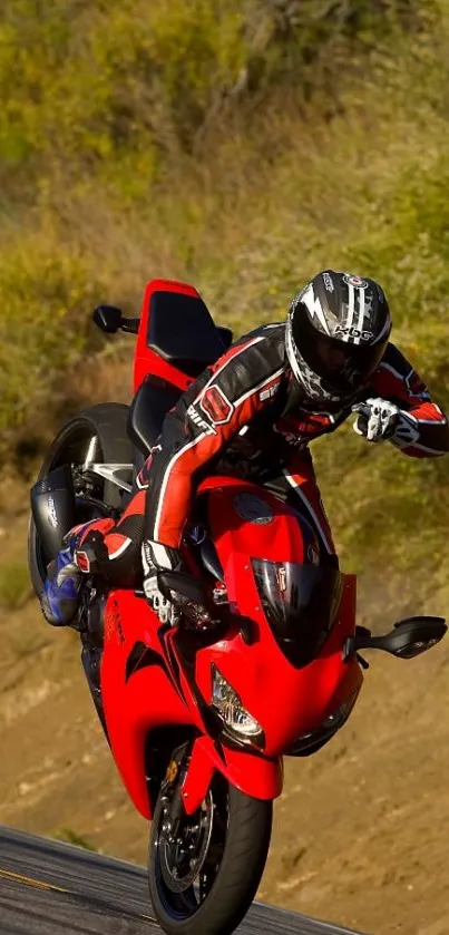 Red motorcycle rider on a dynamic road adventure.