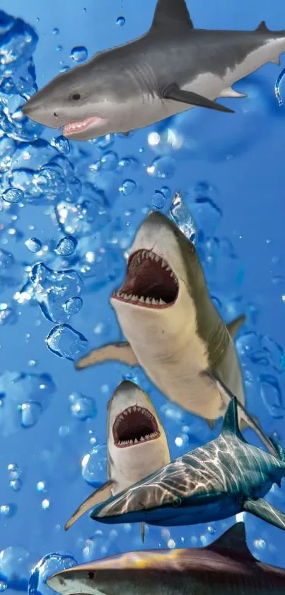 Vivid sharks swimming in a blue ocean with bubbles, ideal for mobile wallpaper.