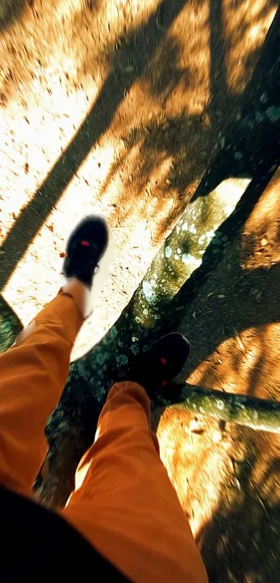 Dynamic skateboard view with sunlight and shadows on the path.