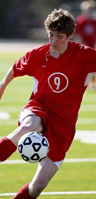 Soccer player in red jersey kicks the ball on the green field.