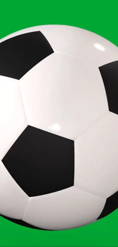 Black and white soccer ball on a green background wallpaper.