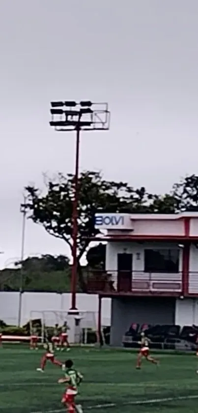 Soccer field with players under a cloudy sky.