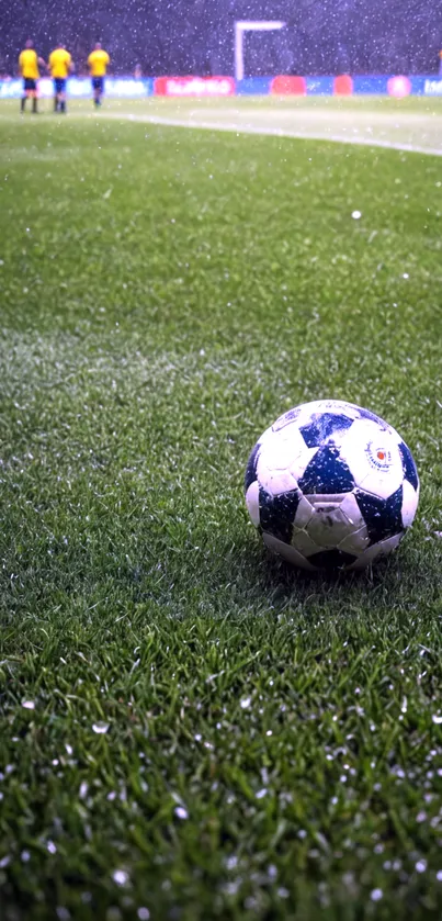 Soccer ball on lush green field under light rain.